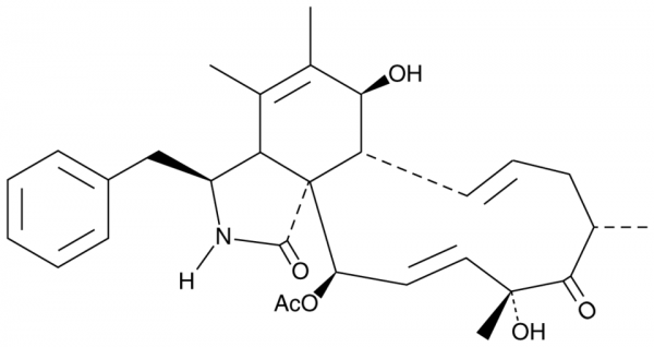 Cytochalasin C
