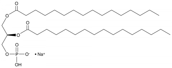 1,2-Dipalmitoyl-sn-glycero-3-PA (sodium salt)
