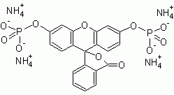 FDP (Fluorescein diphosphate, tetraammonium salt)