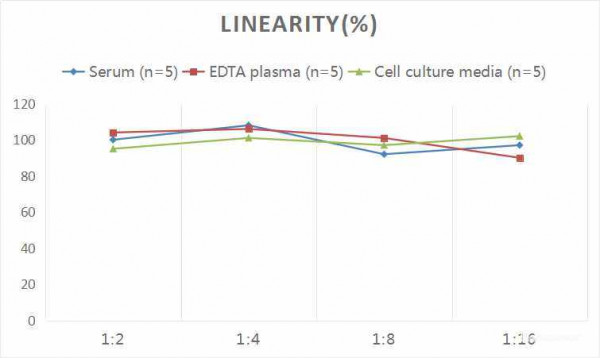 Rat PDGF-BB (Platelet-Derived Growth Factor-BB) CLIA Kit