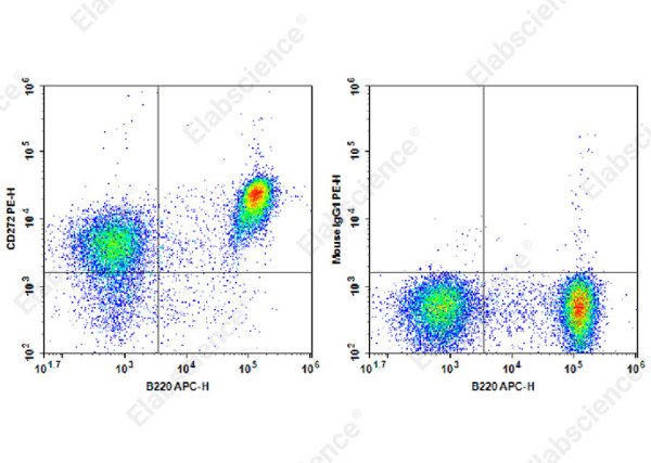PE Anti-Mouse CD272 Antibody[6F7]