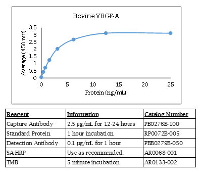 Vascular Endothelial Growth Factor-A (VEGF-A) (bovine) Do-It-Yourself ELISA
