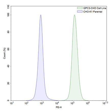 FluoSite Anti-GPC3 Antibody, PE-Labeled