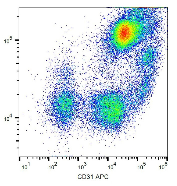 Anti-CD31, clone MEM-05 (APC)