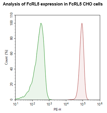 FcRL5 CHO Cell Line