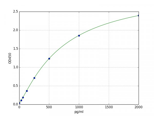 Human il 17 ELISA Kit