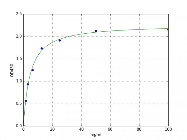 Mouse Creatine Kinase MM / CKMM ELISA Kit