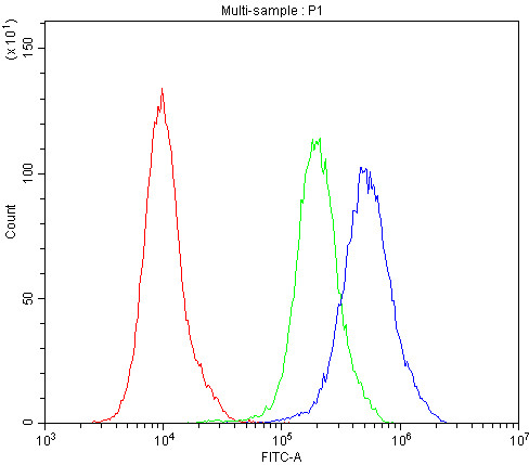 Anti-BCL2L2 / Bcl W