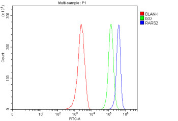 Anti-RARS2 / Arginyl-tRNA synthetase 2