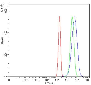 Anti-NARF / NLK-associated RING finger protein / RNF138