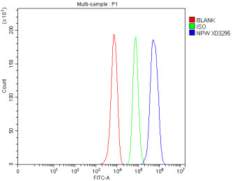 Anti-NPW / Neuropeptide W