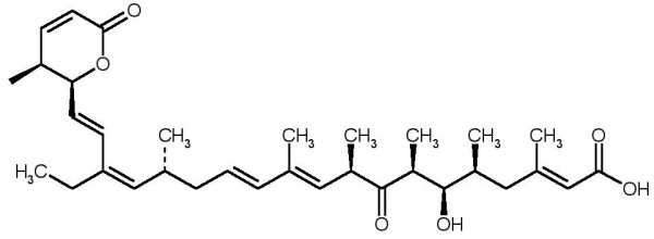 Leptomycin B, Free Acid (Elactocin, Mantuamycin, PD 114720, ATS 1287B, CI-940, CL-1957A, NSC 364372,