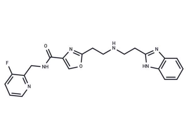 Vamifeport