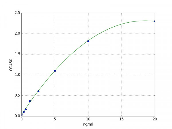 Human Tyrosine Kinase 2 / TYK2 ELISA Kit