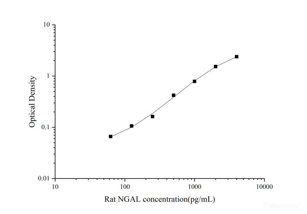 Uncoated Rat NGAL(Neutrophil Gelatinase Associated Lipocalin) ELISA Kit