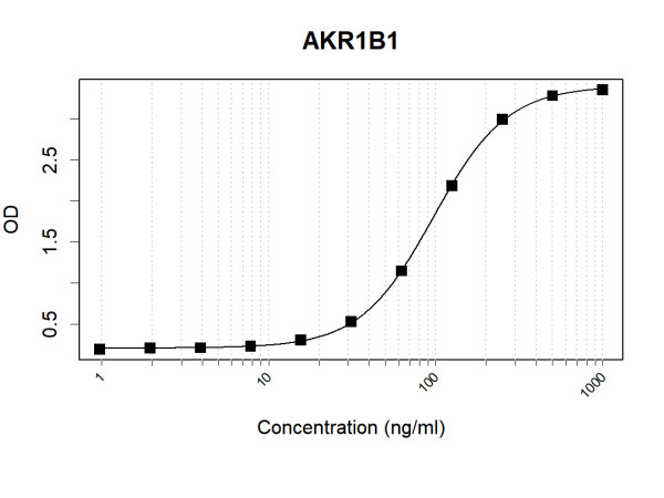 Anti-Human AKR1B1 Antibody Pair