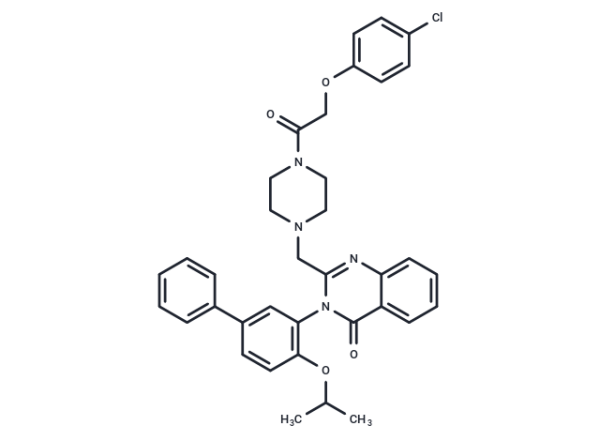 Erastin2