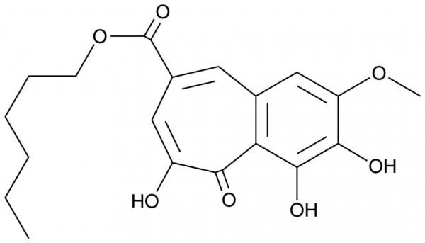CU CPT 22