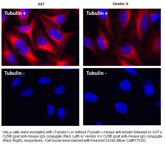 Cy5(R) goat anti-mouse IgG (H+L) *Cross Adsorbed*