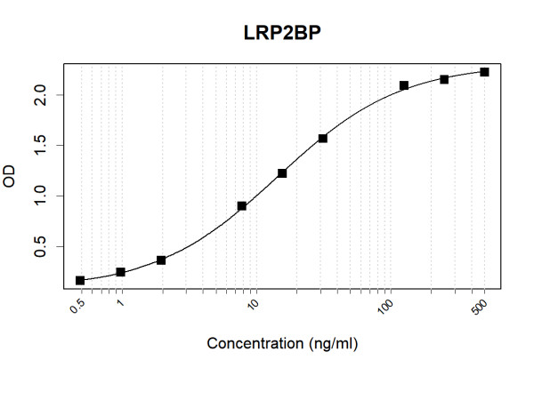 Anti-Human LRP2BP Antibody Pair