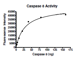 Caspase-8, His-tag