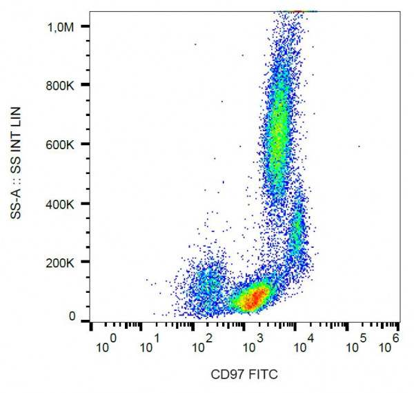 Anti-CD97, clone MEM-180 (FITC)