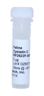 C Recombinant Protein, cystatin feline (fcyCystatinC)