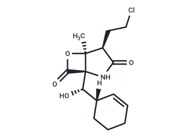 Marizomib