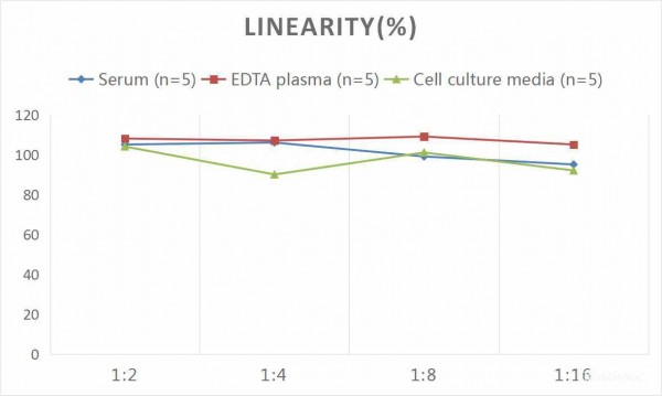 Human C5a (Complement Component 5a) CLIA Kit