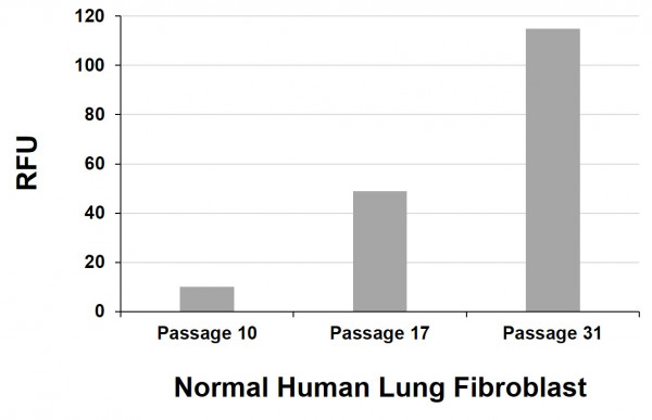 Cellular Senescence Assay Kit (Fluorometric)