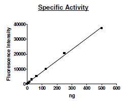 Activated Protein C (PROC), human recombinant protein, His-tag