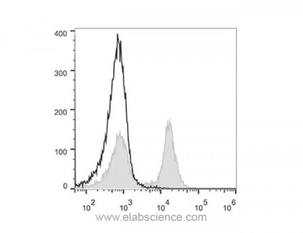 FITC Anti-Mouse CD16/32 Antibody [2.4G2]