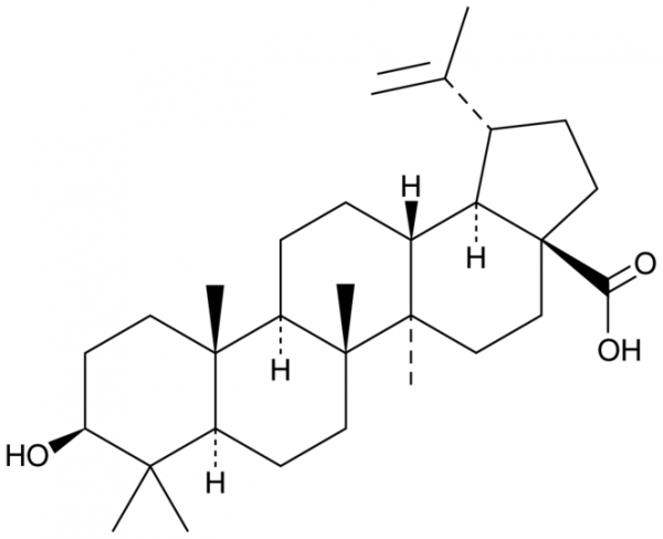 Betulinic Acid