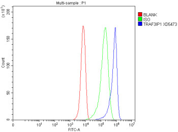 Anti-TRAF3IP1 / TRAF3-interacting protein 1