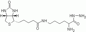 Biocytin hydrazide