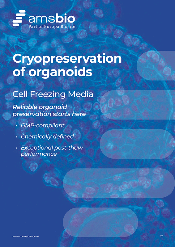 Cryopreservation of Organoids