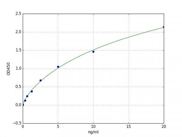Human DCT (L-dopachrome tautomerase) ELISA Kit
