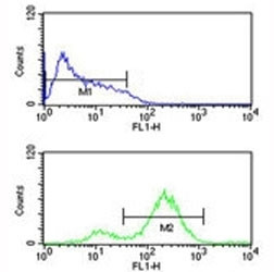 Anti-EIF4E