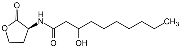 N-(3-Hydroxydecanoyl)-L-homoserine lactone