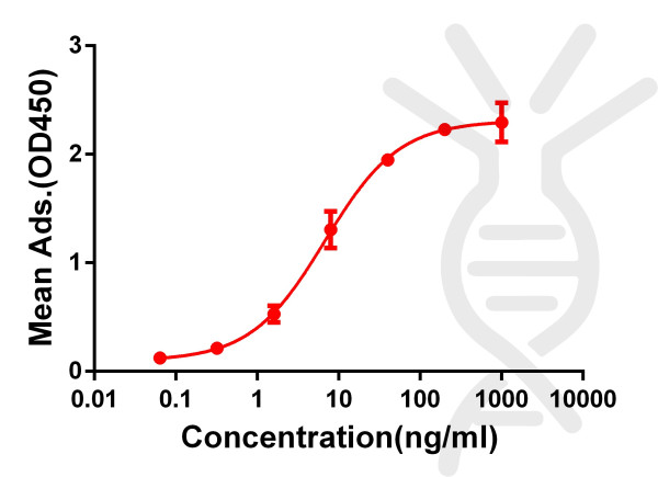 Anti-CD28 antibody(DM63), Rabbit mAb