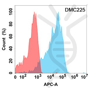 Anti-IL21R antibody(DMC225), IgG1 Chimeric mAb