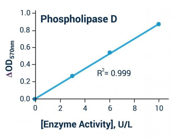Phospholipase D Activity Assay Kit