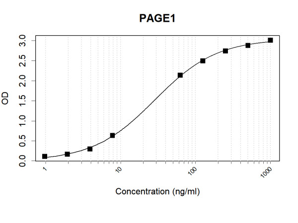 Anti-Human PAGE1 Antibody Pair