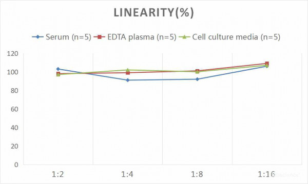 Mouse ANGPTL2 (Angiopoietin Like Protein 2) CLIA Kit