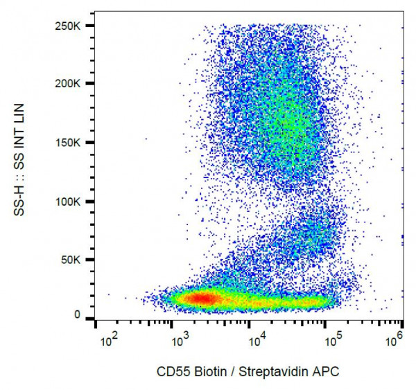 Anti-CD55, clone MEM-118 (Biotin)