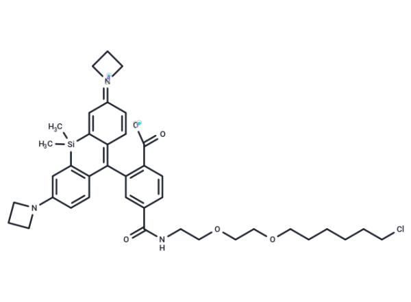 Janelia Fluor 646, Haloalkane