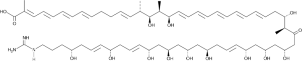 Turonicin A