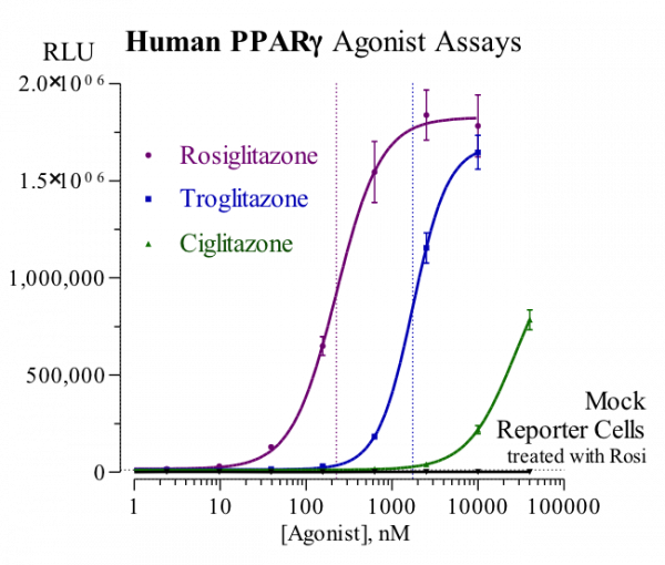 PPARgamma (human) Reporter Assay Kit