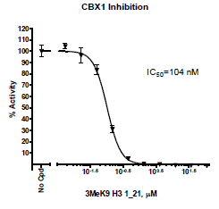 CBX1 Inhibitor Screening Assay Kit