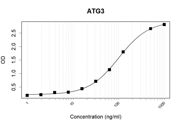 Anti-Human ATG3 Antibody Pair